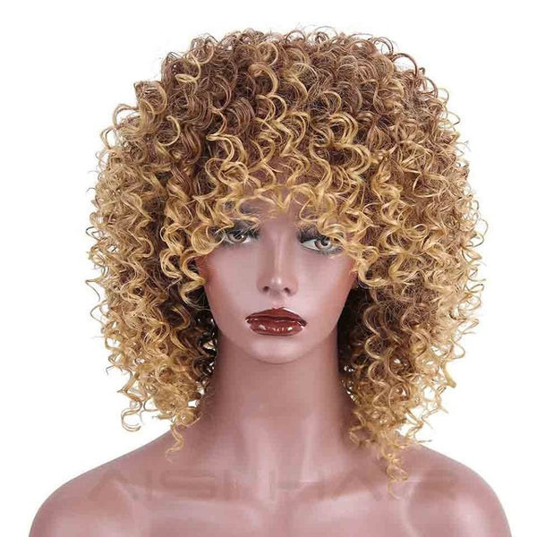 Afro Kinky Curly Synthetic Wig
