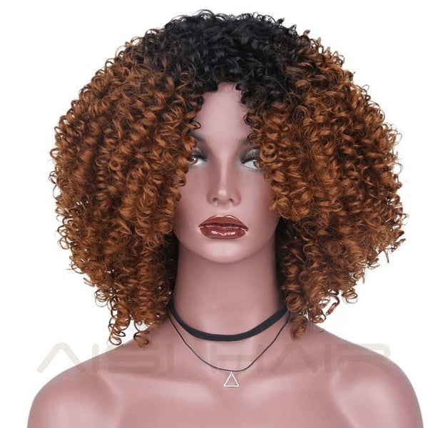 Afro Kinky Curly Synthetic Wig