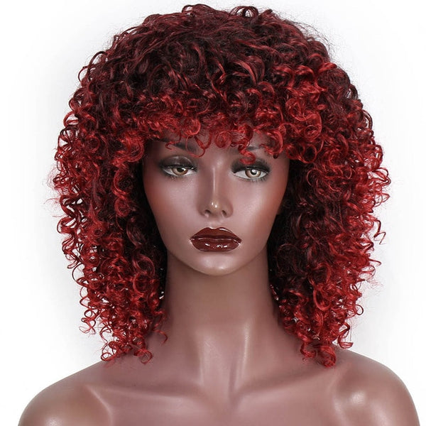 Afro Kinky Curly Synthetic Wig