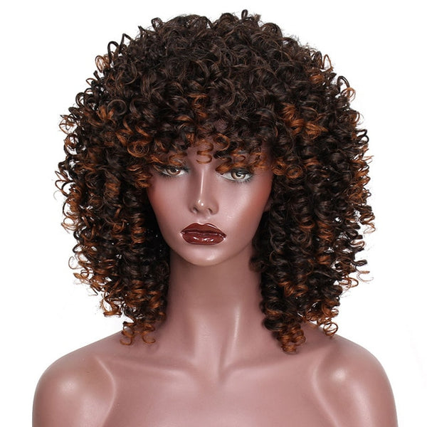 Afro Kinky Curly Synthetic Wig