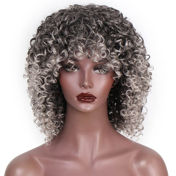 Afro Kinky Curly Synthetic Wig