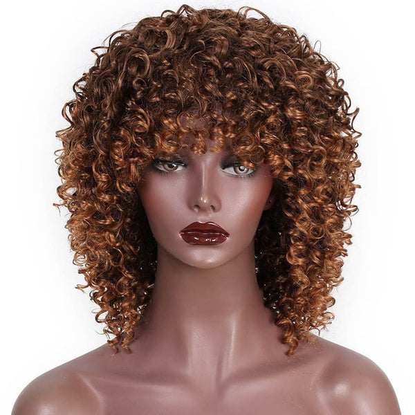 Afro Kinky Curly Synthetic Wig
