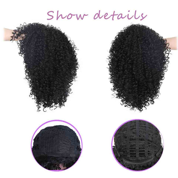 Afro Kinky Curly Synthetic Wig