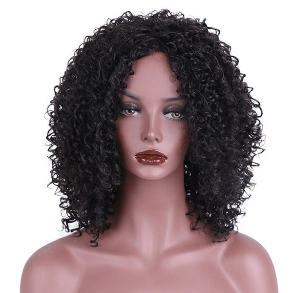Afro Kinky Curly Synthetic Wig