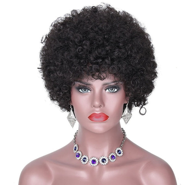 Afro Kinky Curly Synthetic Wig